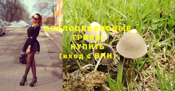 apvp Козельск