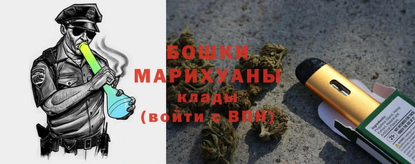 дживик Козловка