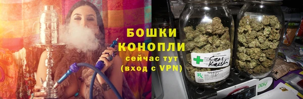 apvp Козельск