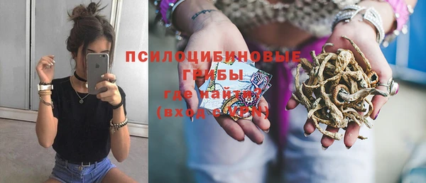 apvp Козельск