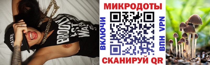 Галлюциногенные грибы Psilocybe  Купить закладки  Липецк 